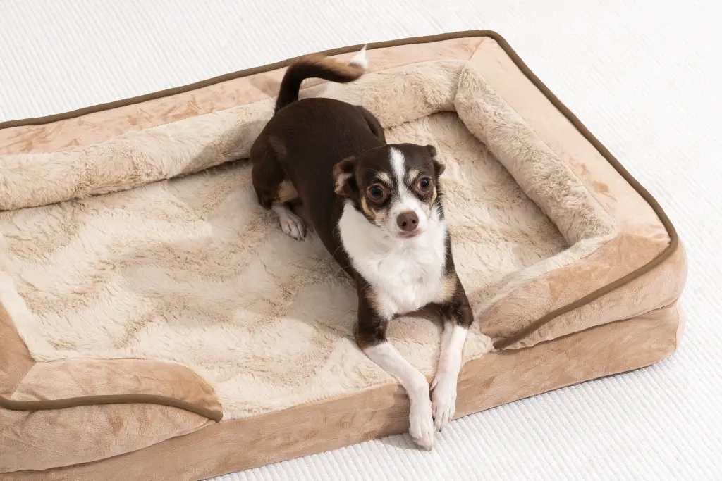 dog-bed-2048px-5845
