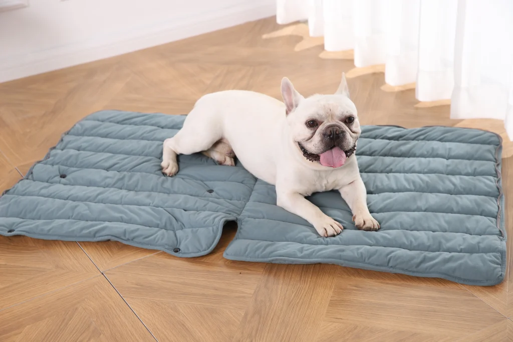 what-fabric-is-best-for-dog-beds-1024x683